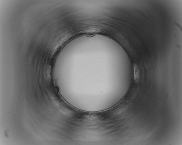 X0000103480300200809261933