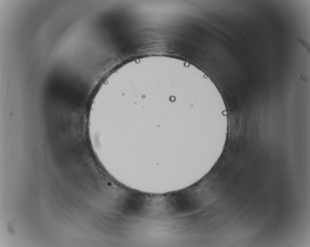 X0000103480301200809261933