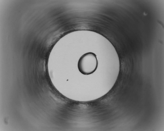 X0000103480302200809261933