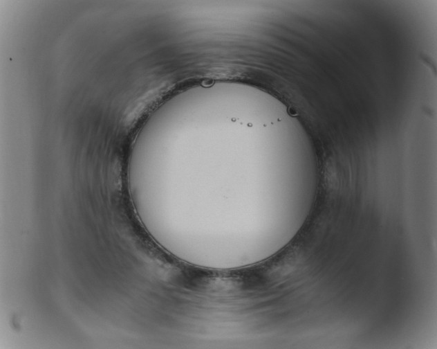 X0000103480303200809261933