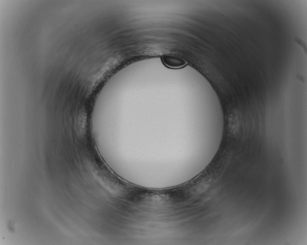 X0000103480304200809261933