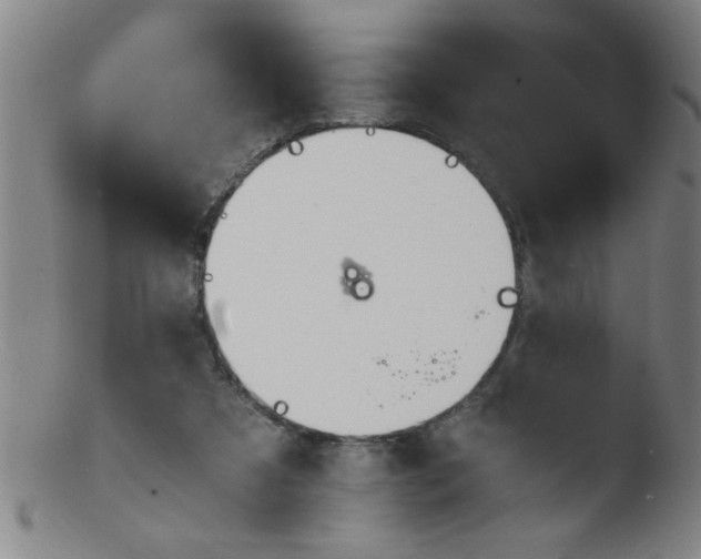 X0000103480305200809261933