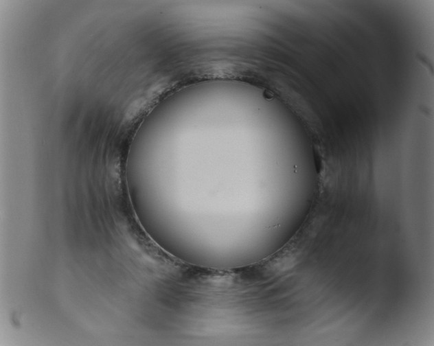 X0000103480306200809261933