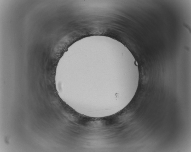 X0000103480307200809261933