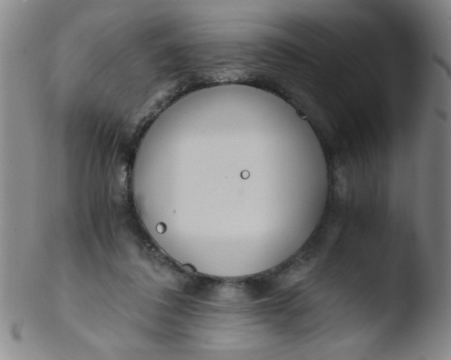 X0000103480308200809261933