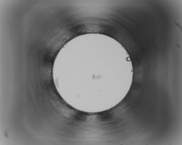 X0000103480309200809261933