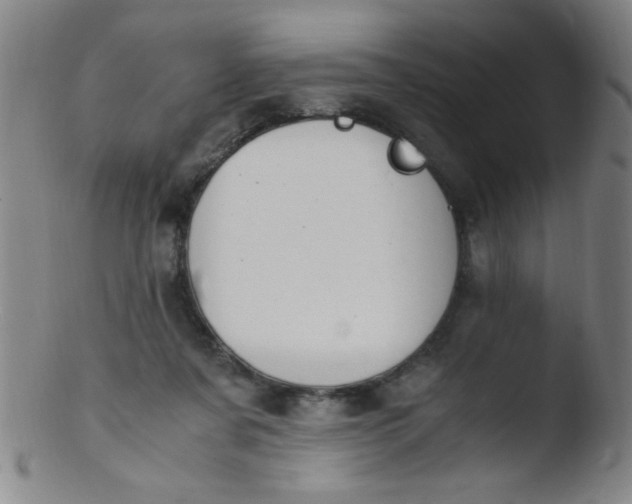 X0000103480311200809261933