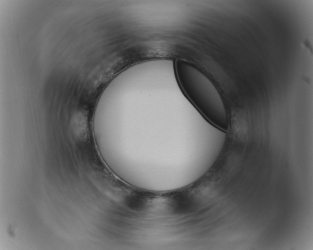 X0000103480312200809261933