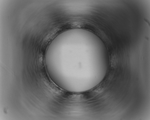 X0000103480314200809261933