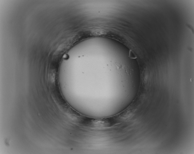 X0000103480315200809261933