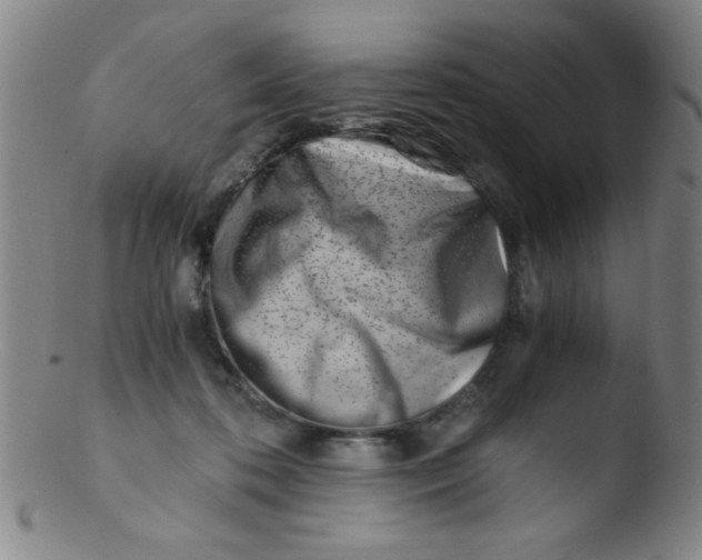 X0000103480316200809261933