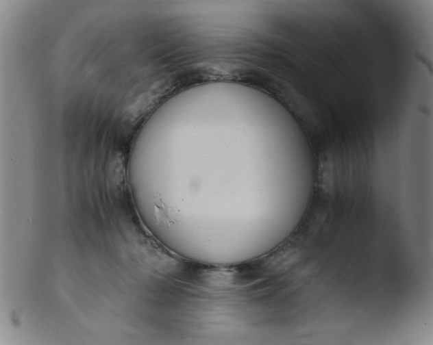 X0000103480318200809261933