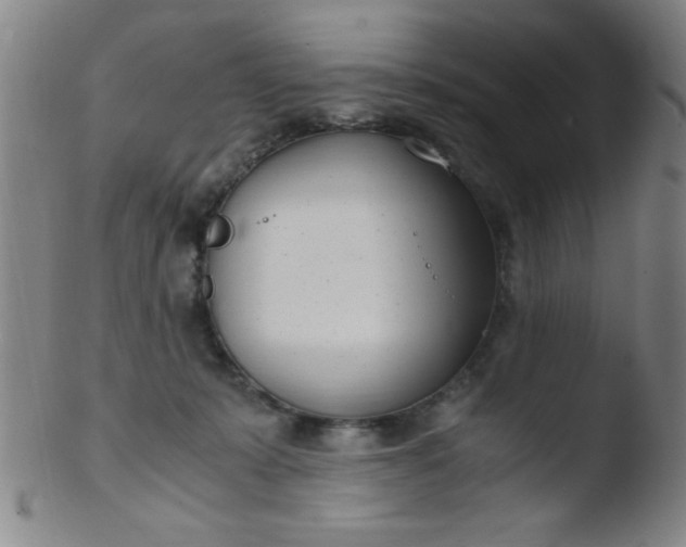 X0000103480319200809261933