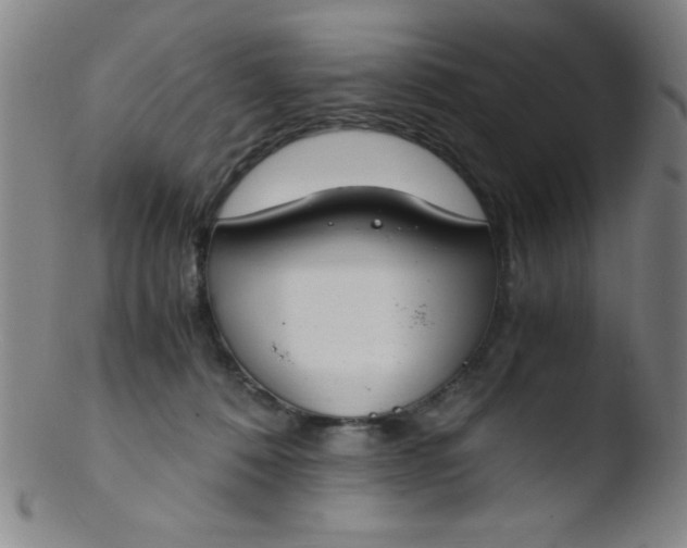 X0000103480320200809261933