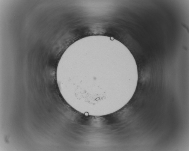 X0000103480321200809261933