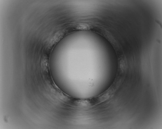 X0000103480322200809261933