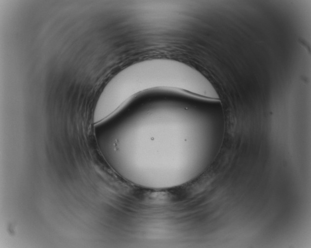 X0000103480324200809261933