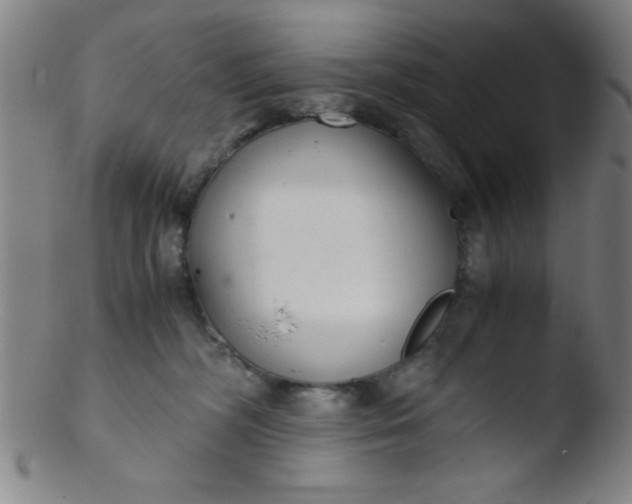 X0000103480326200809261933