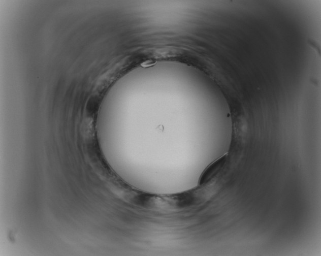 X0000103480327200809261933