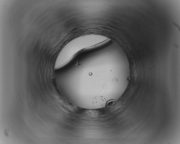 X0000103480328200809261933