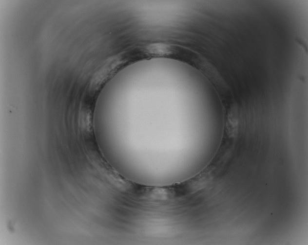 X0000103480330200809261933