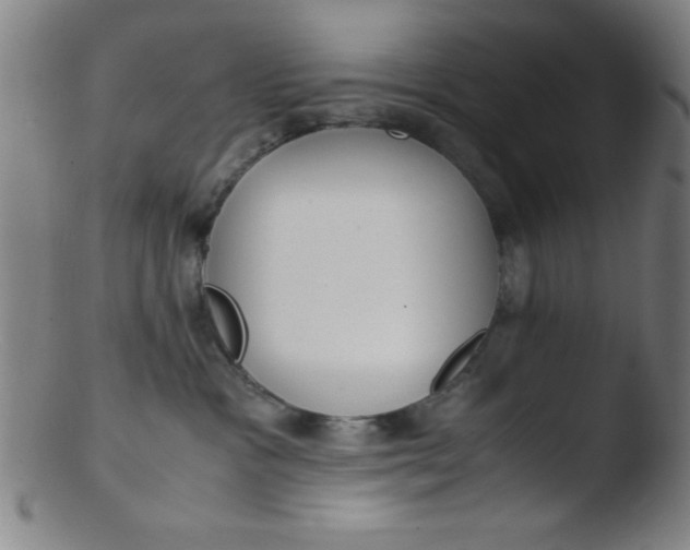 X0000103480333200809261933