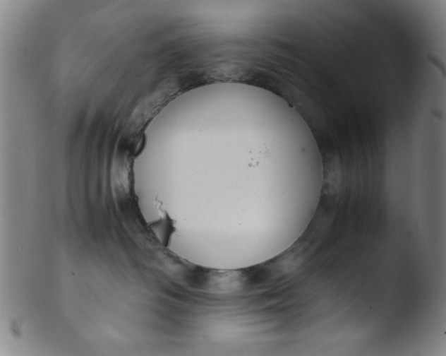 X0000103480334200809261933