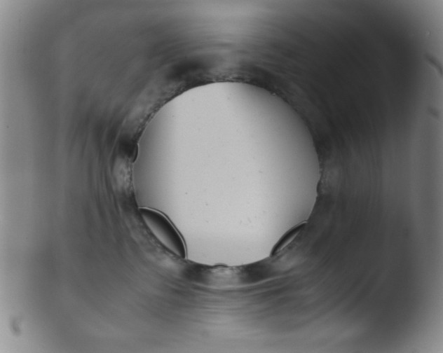 X0000103480335200809261933