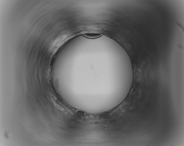 X0000103480338200809261932