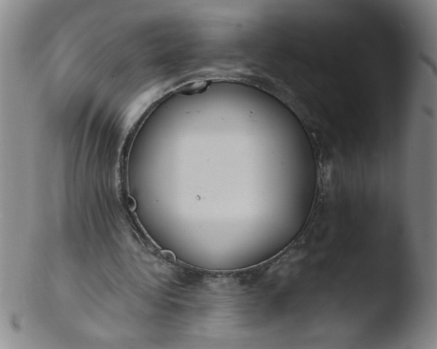 X0000103480340200809261932