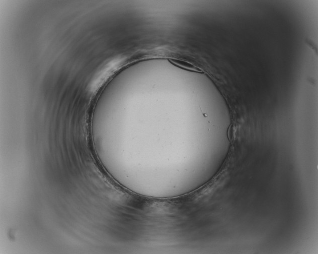 X0000103480341200809261932