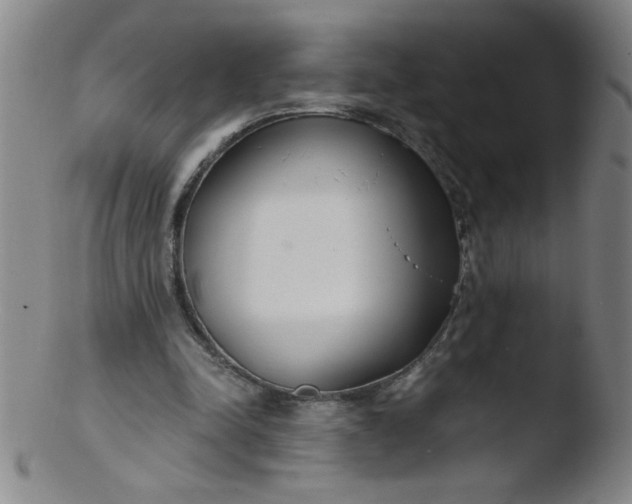 X0000103480342200809261932