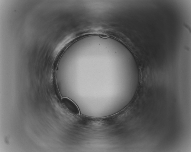 X0000103480344200809261932