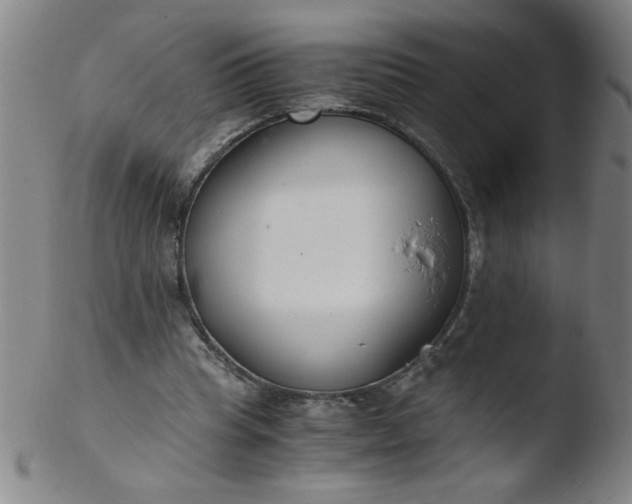 X0000103480345200809261932