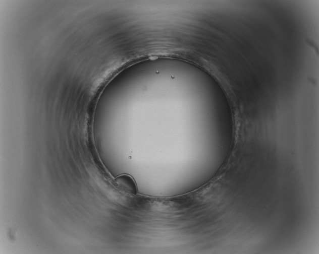 X0000103480346200809261932