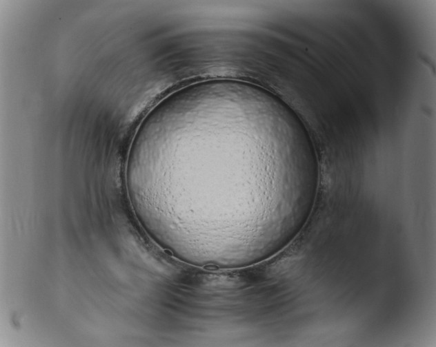 X0000103480347200809261932