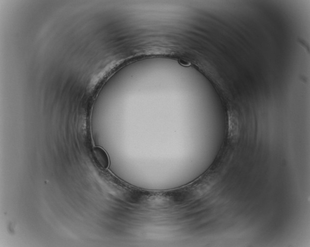 X0000103480348200809261932