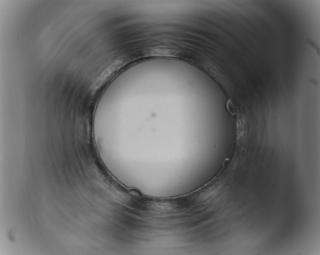 X0000103480349200809261932