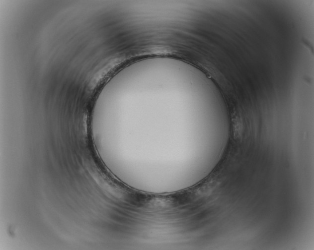 X0000103480350200809261932