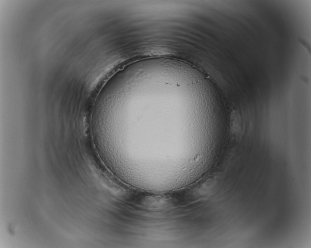 X0000103480351200809261932