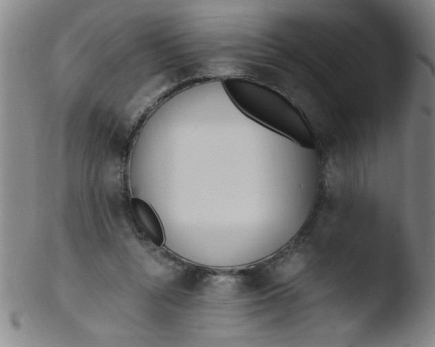 X0000103480352200809261933