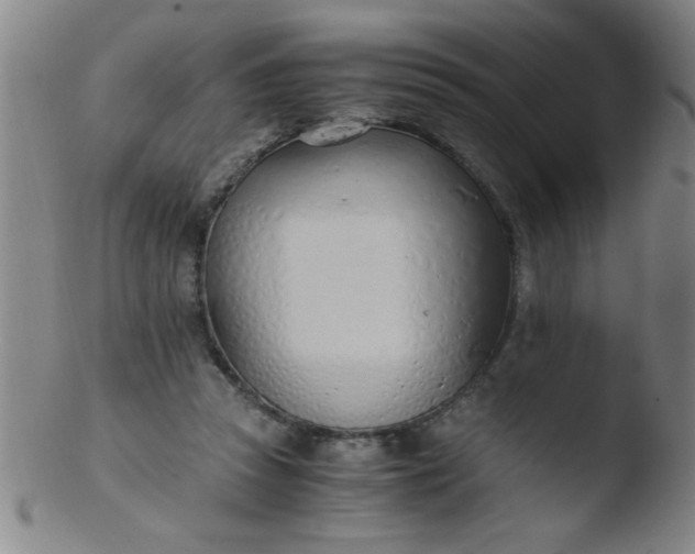 X0000103480353200809261933