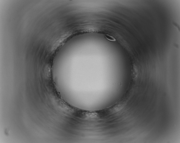 X0000103480355200809261933