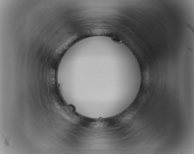 X0000103480356200809261933