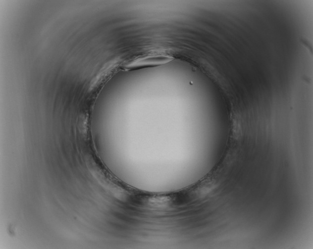 X0000103480357200809261933