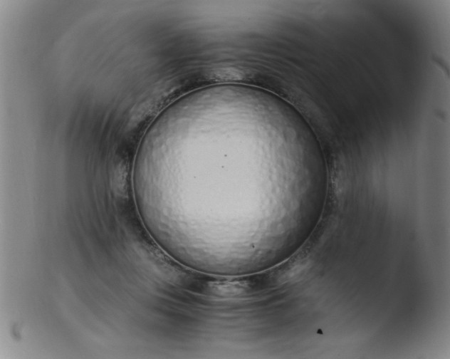 X0000103480359200809261933