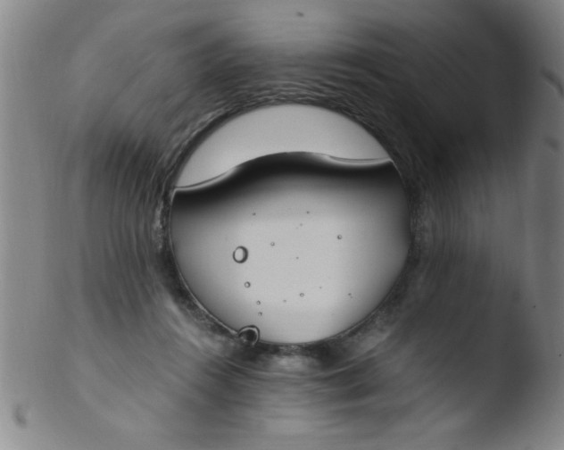 X0000103480360200809261933