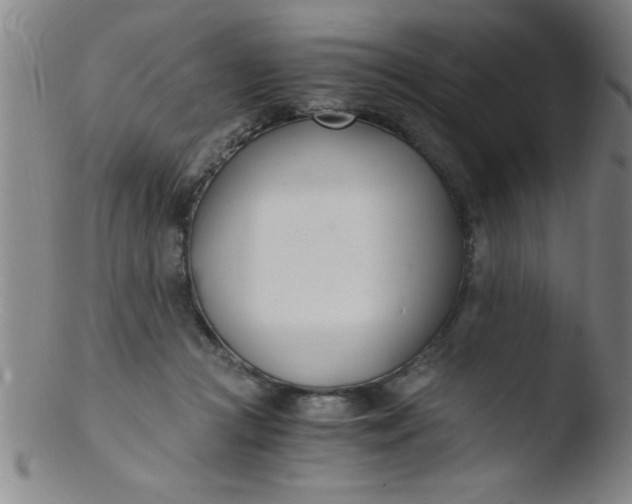 X0000103480361200809261933