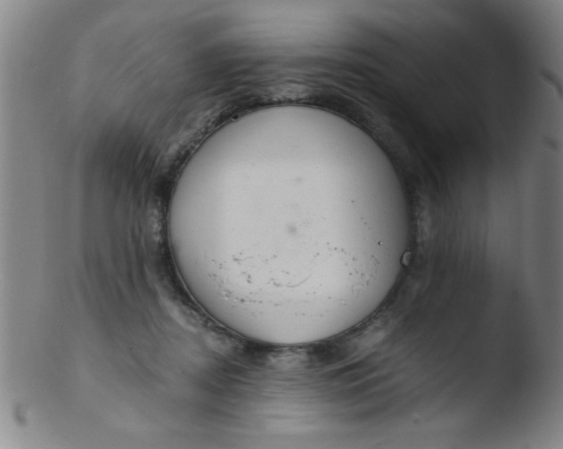 X0000103480362200809261933