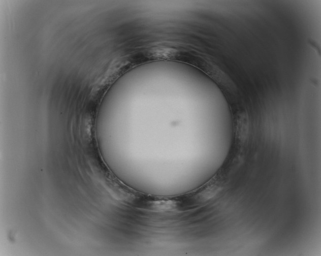 X0000103480363200809261933